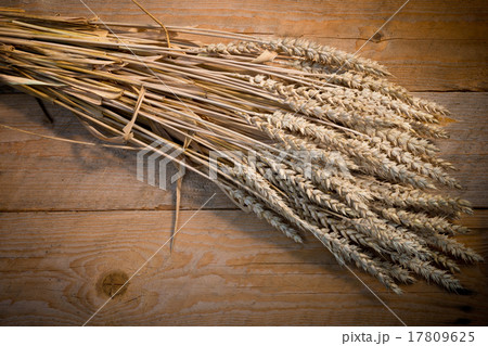 sheaf of wheat 17809625
