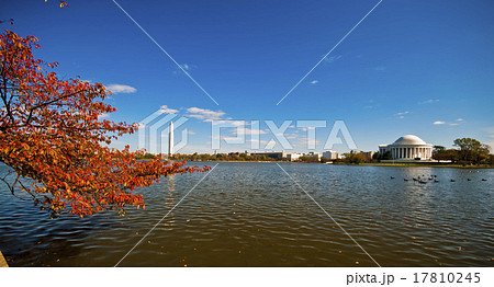 Jefferson Memorial and the Tidal Basin 17810245
