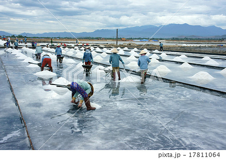 Asia worker, salt marsh, working Asia worker, salt marsh, working 17811064