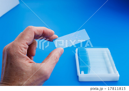 biochip for identifying proteins, Lab on 17811815