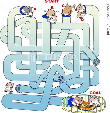 迷路＿ハムスター 17811994