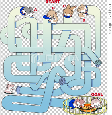 迷路＿ハムスター 17811994