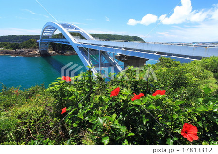 夏のハイビスカスと串本大橋 17813312