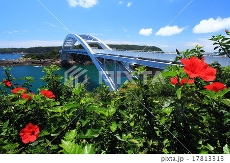 夏のハイビスカスと串本大橋 17813313