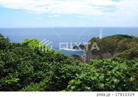 夏の足摺岬 17813324