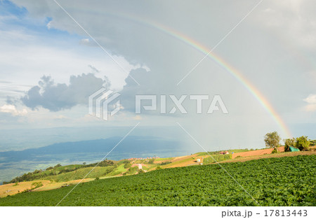 Beautiful landscape with a rainbow in the sky 17813443