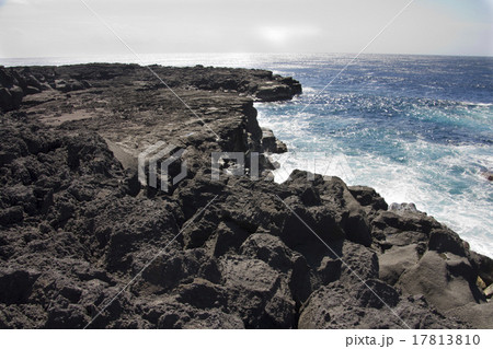 南原千畳敷 八丈島 南原千畳敷 八丈島 17813810