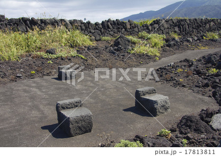 南原千畳敷　八丈島 17813811