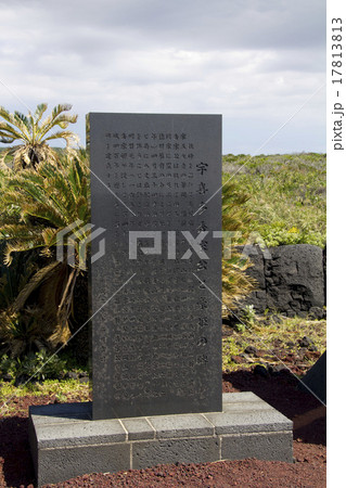 南原千畳敷　八丈島 17813813