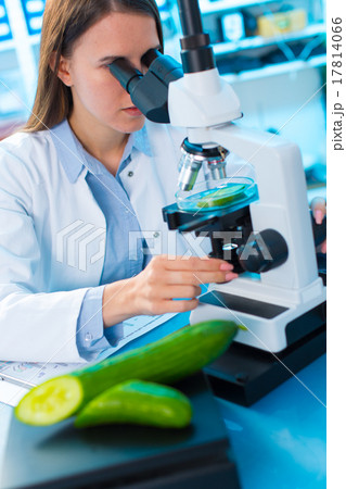 Inspection of fruits and vegetables for harmful substances Inspection of fruits and vegetables for harmful substances 17814066