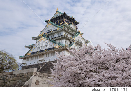 白雲 白い雲 シラクモ 17814131