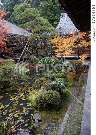 禅林寺　永観堂　紅葉 17814261