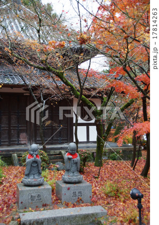 禅林寺 永観堂 紅葉 禅林寺 永観堂 紅葉 17814263