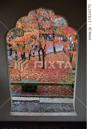 禅林寺　永観堂　紅葉 17814270