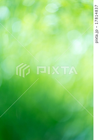 新緑バック 17814837