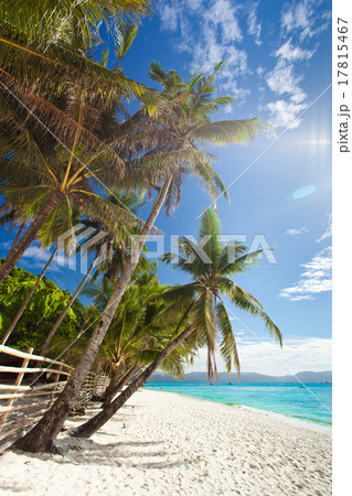 Idyllic tropical scene Idyllic tropical scene 17815467