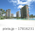 ハワイ ヒルトンラグーン ハワイ ヒルトンラグーン 17816231