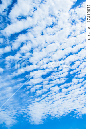 雲　綿雲　積雲　層積雲もしくは高積雲　青い空　白い雲　秋の空　背景用素材　クラウド　青空　合成用背景 17816857