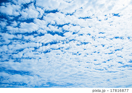 雲 綿雲 積雲 層積雲もしくは高積雲 青い空 白い雲 秋の空 背景用素材 クラウド 青空 合成用背景の写真素材