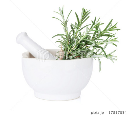 Fresh garden rosemary in mortar Fresh garden rosemary in mortar 17817054