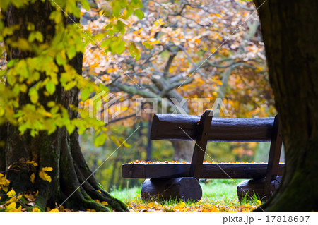 bench in the autumn park 17818607