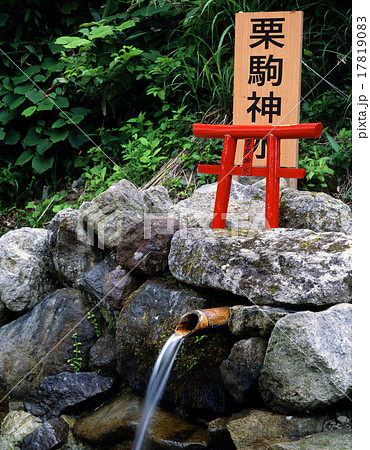 栗駒神水 17819083