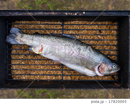 Fresh trout fish ready to be cooked 17820005