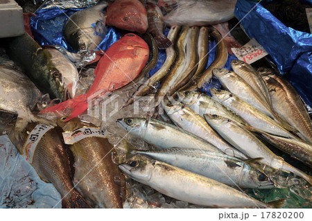 黒門市場の鮮魚店 17820200