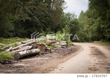 deforestation deforestation 17820767