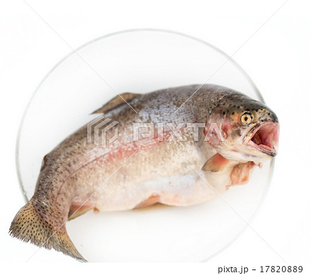 Fresh trout fish ready to be cooked 17820889