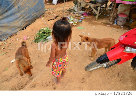 カンボジア シェムリアップ トンレサップ湖 子供と犬の写真素材