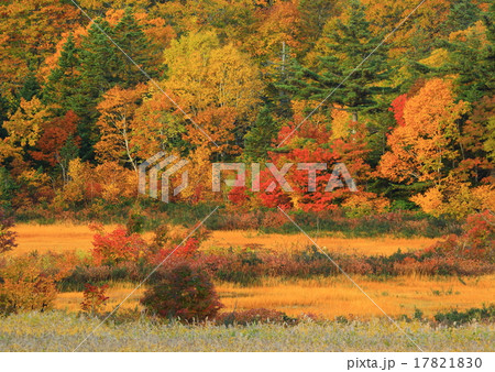 八幡平 大沼の紅葉 八幡平 大沼の紅葉 17821830