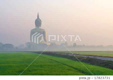 The Big Buddha at Wat Muang Temple with fog and grass when sunri The Big Buddha at Wat Muang Temple with fog and grass when sunri 17823731
