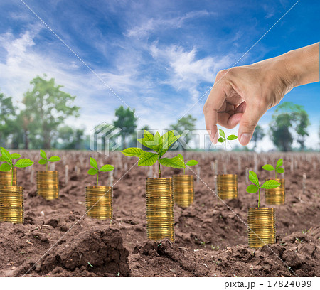 Hand holding the seed on stack of gold coins with seed on the st 17824099