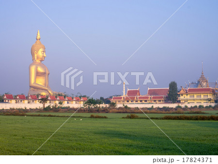 The Big Buddha at Wat Muang Temple, Angthong, Thailand 17824371