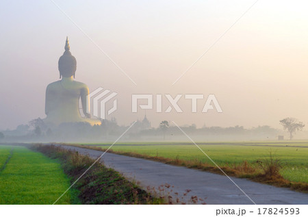 The Big Buddha at Wat Muang Temple with fog and tree, Angthong, 17824593