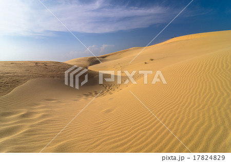 sand dunes at muine, vietnam 17824829
