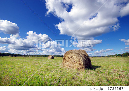 Haystacks on the field 17825674