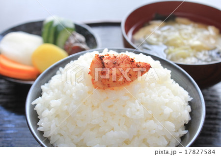 ご飯のお供　焼きタラコ 17827584