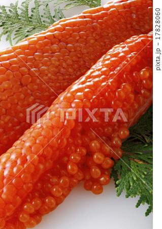 すじこ すじこ 17828060