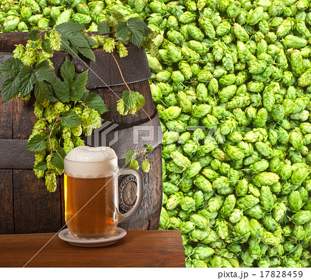 beer 17828459