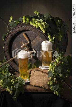 beer 17828499