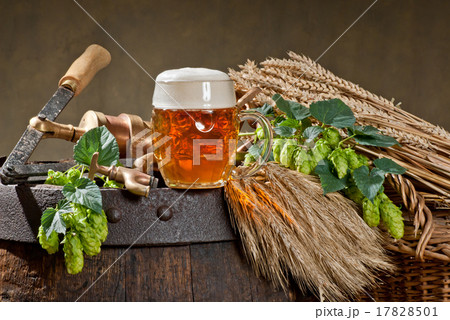 still life with hop cones 17828501
