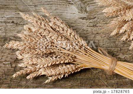 wheat wheat 17828765