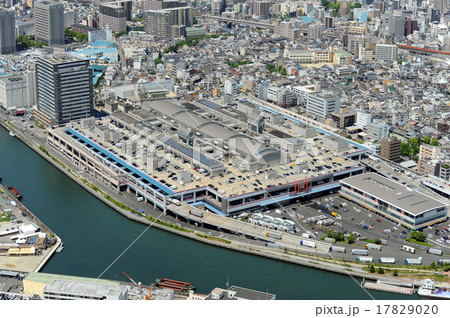 大阪中央卸売市場を空撮 17829020