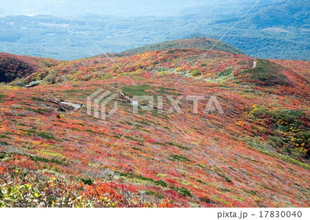 栗駒山の紅葉絶景2015～いわかがみ平方面 17830040