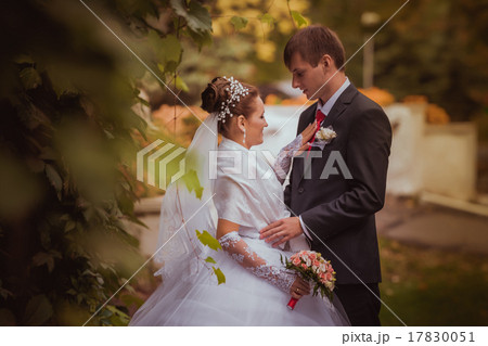 young family, wedding, newlyweds young family, wedding, newlyweds 17830051