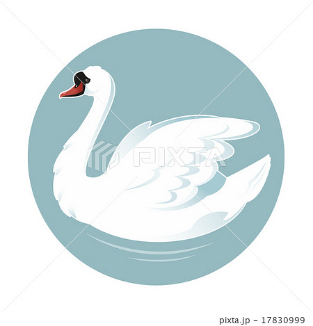 Cartoon Swanのイラスト素材