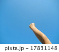 ガッツポーズ 17831148