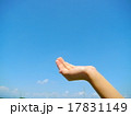 すくうポーズ 17831149